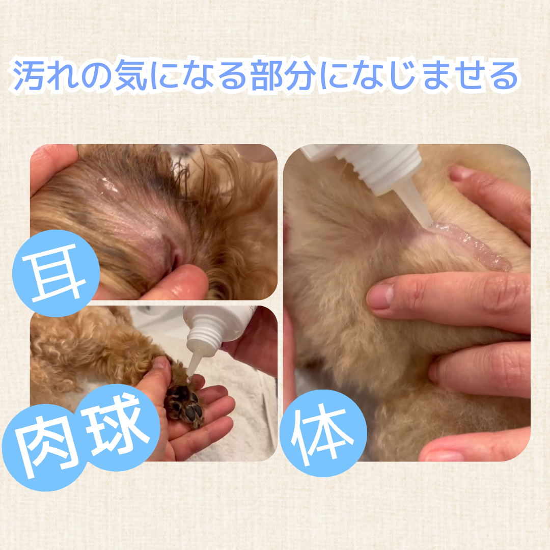 gKCh